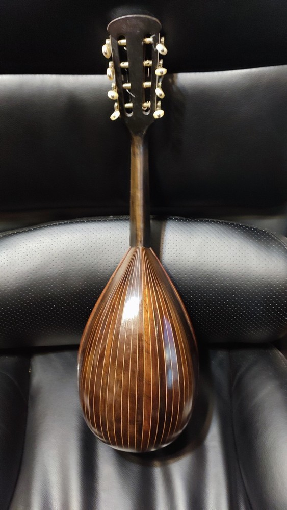 1904 Luigi Embergher Mandolin