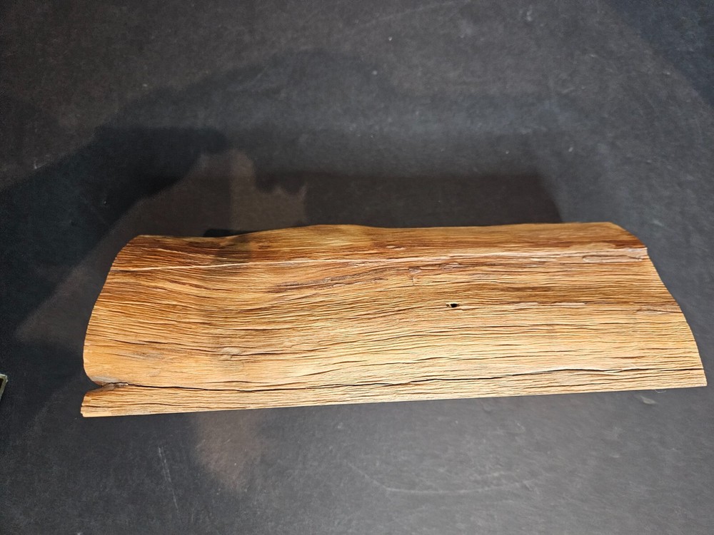 Natural Hollowed Log Hiding Place