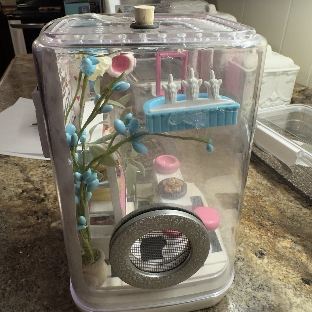 Jumping Spider Enclosure Bakery Themed Handmade