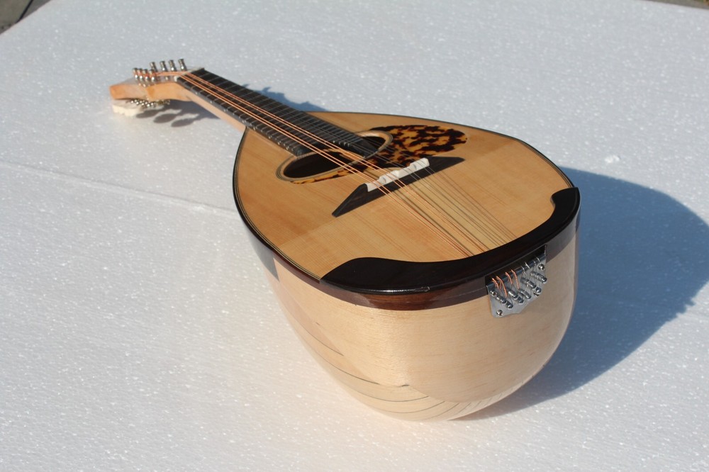 Bowl back Mandolin Solid Spruce Top Stringed instrument
