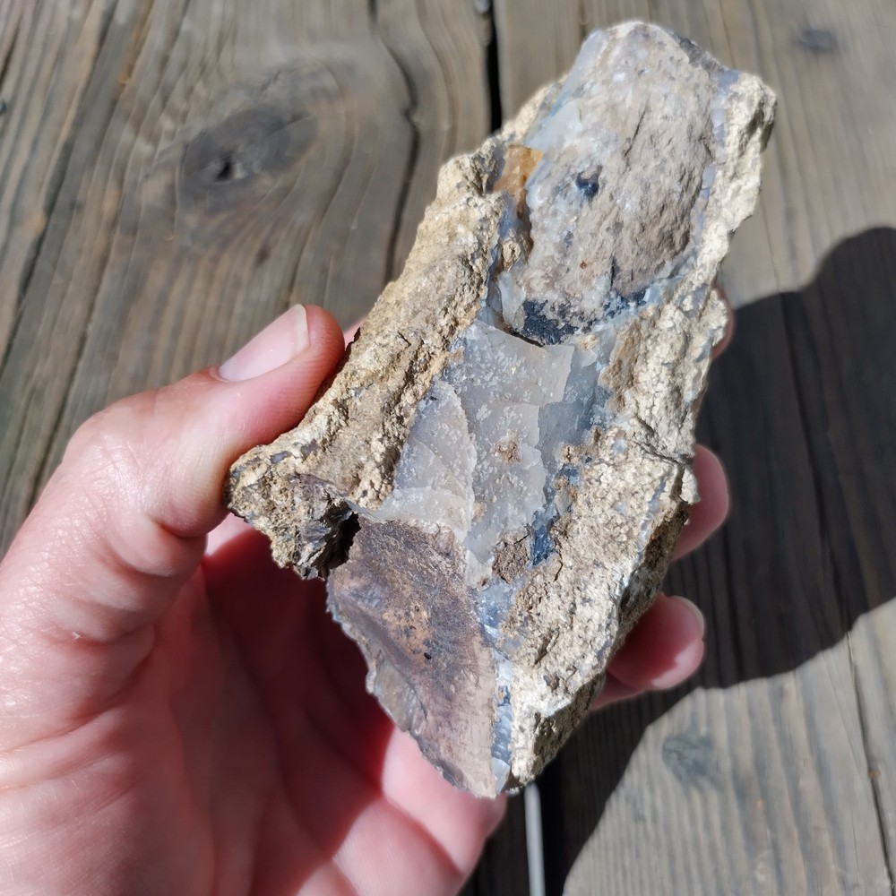 Blue Forest Petrified Wood * 13.7 oz.