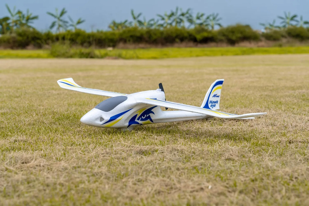 Arrows 600mm Hawkeye RTF