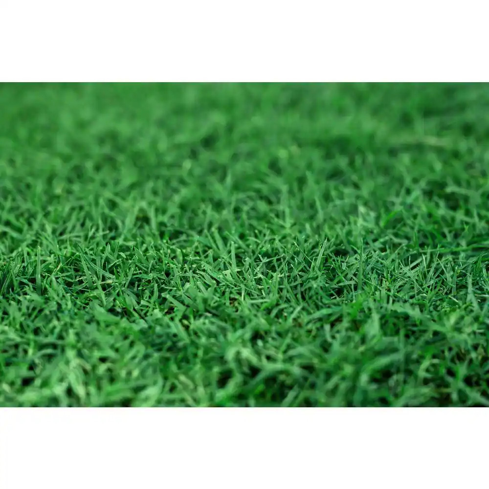 Gotta Go Grass with Tray