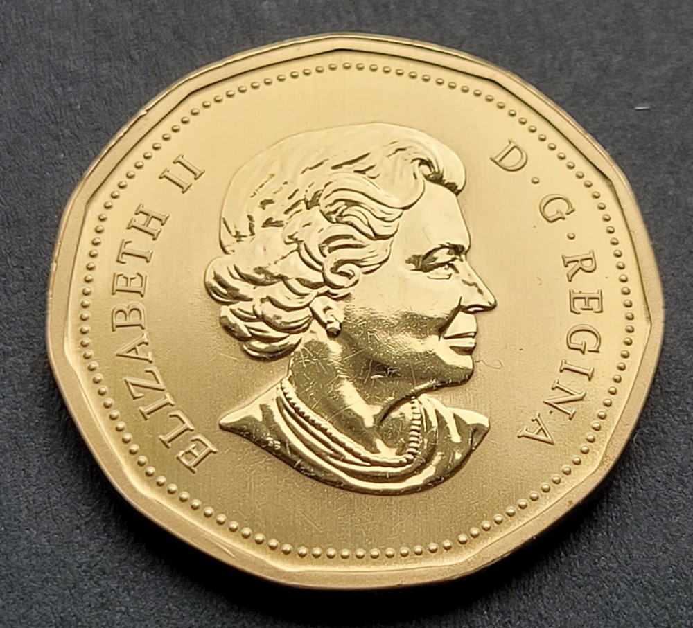 *** CANADA LOONIE 2004 *** SPECIMEN *** FLYING GOOSE ***