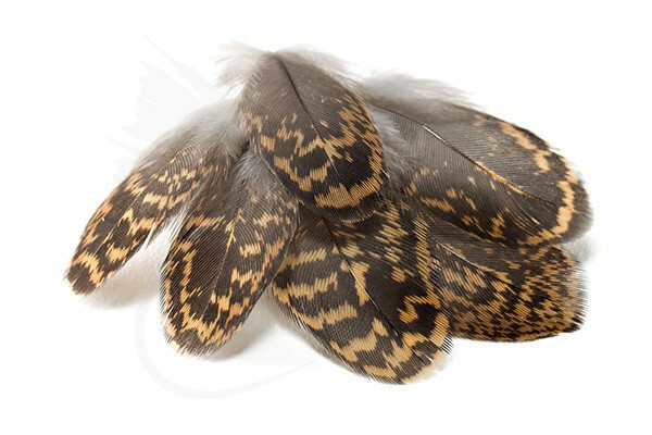 DURHAM RANGER TRADE Grouse Hackles 2 grams 5 PACKS