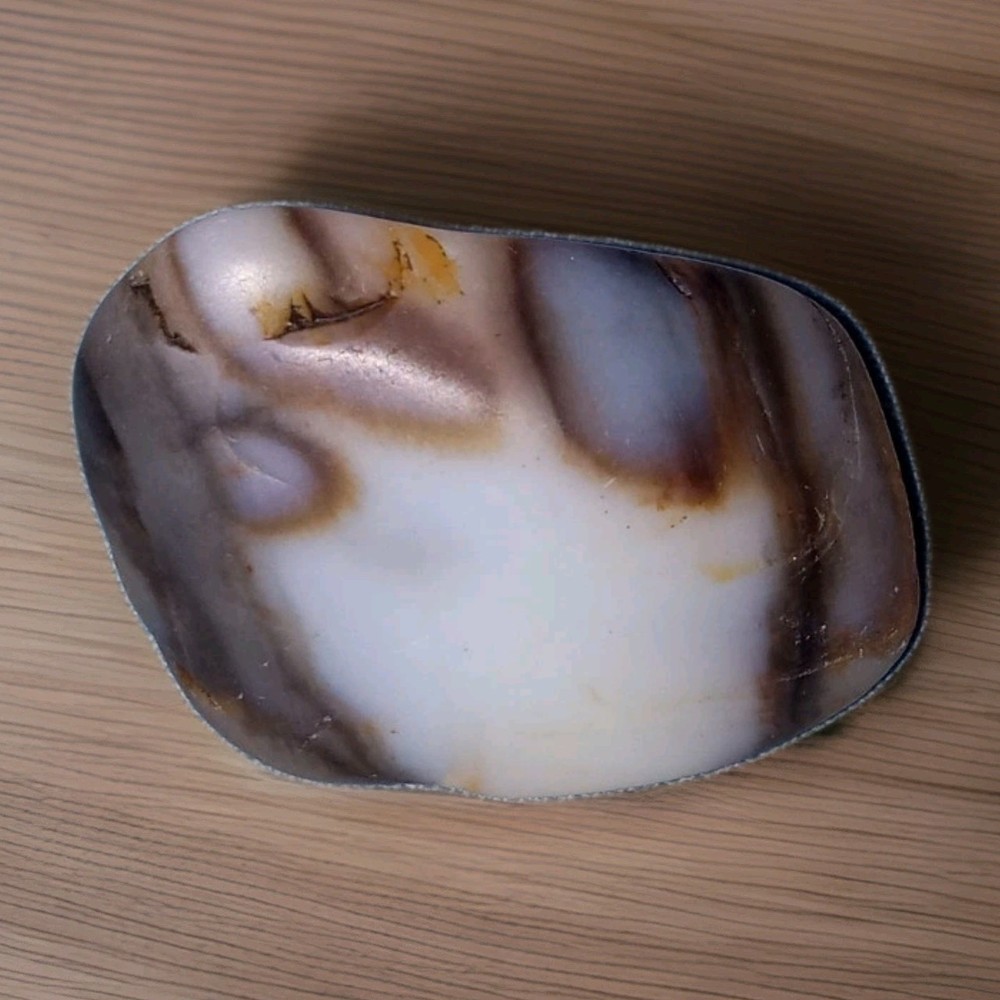 Polished Petrified Wood Specimen