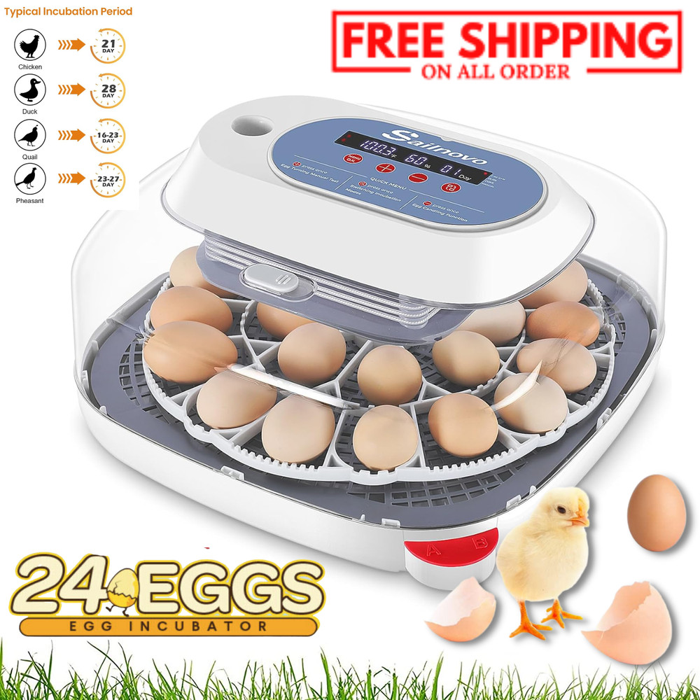 24 Egg Incubator with Automatic Egg Turning Temperature Control&Humidity Display