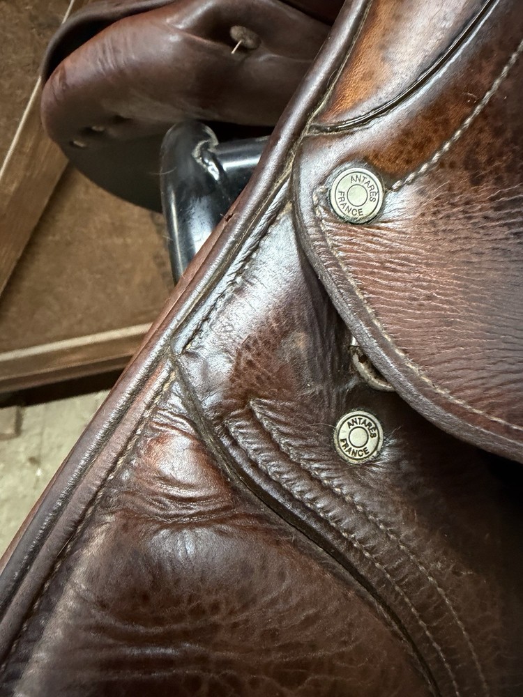 Antares Evolution Close Contact Jump Saddle 17" MW