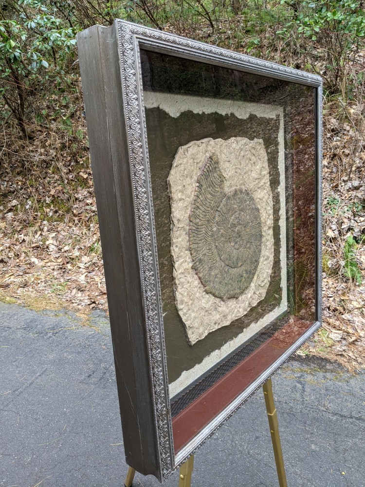 John Richard Neiman Marcus Mixed Media 3-D Shadowbox Art Nautilus Shell - Stone