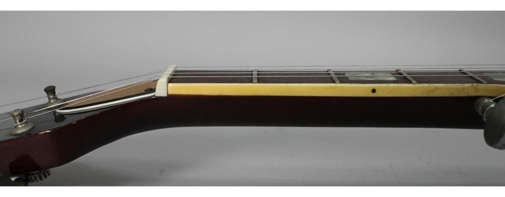 1984 Antares ABJ-336 5 String Banjo MIJ