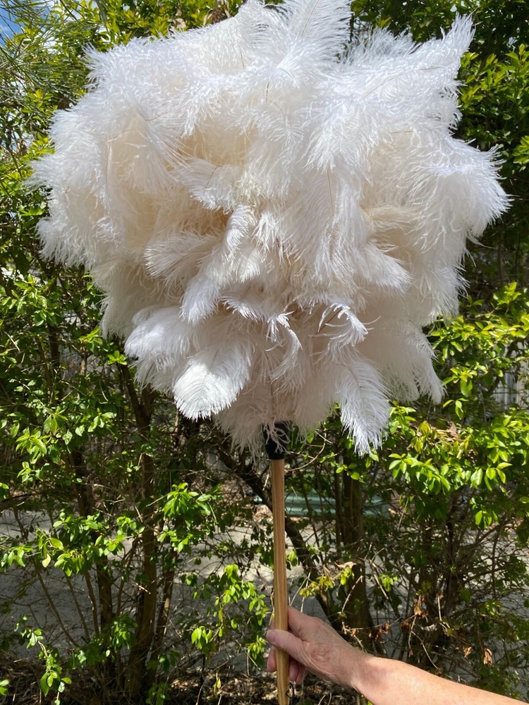 First grade ostrich feather display 180grm white ostrich feathe