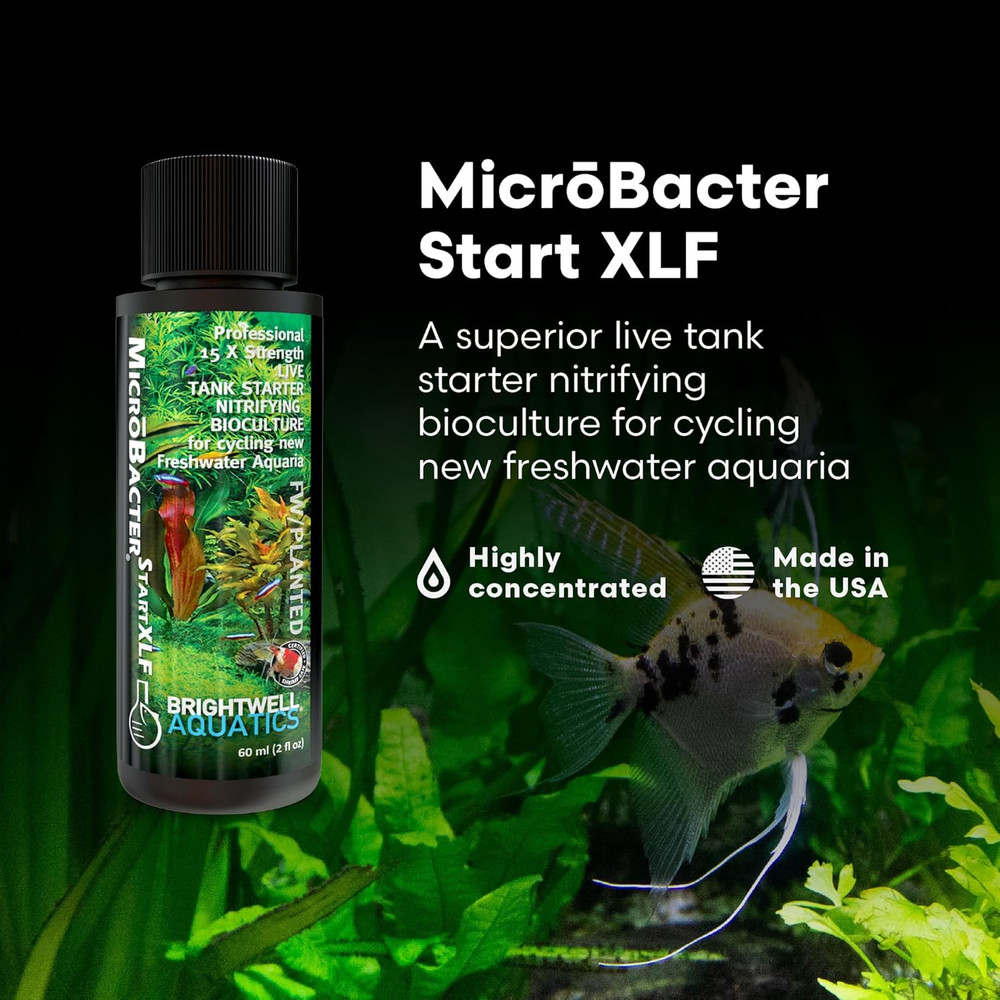 Brightwell Aquatics Microbacter Start XLF - Concentrated Freshwater Nitrifying B