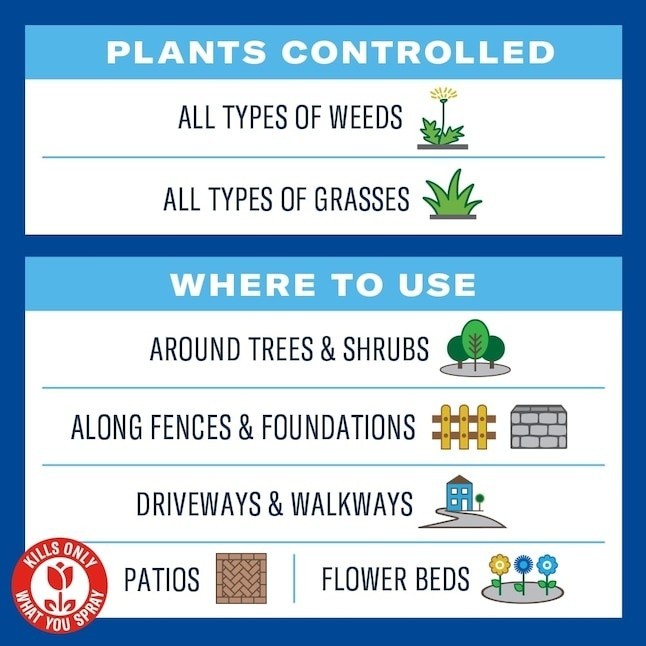 BIOADVANCED 24OZ WEED & GRASS KILLER WITH EASY TRIGGER SPRAY - KILLS AT THE ROOT