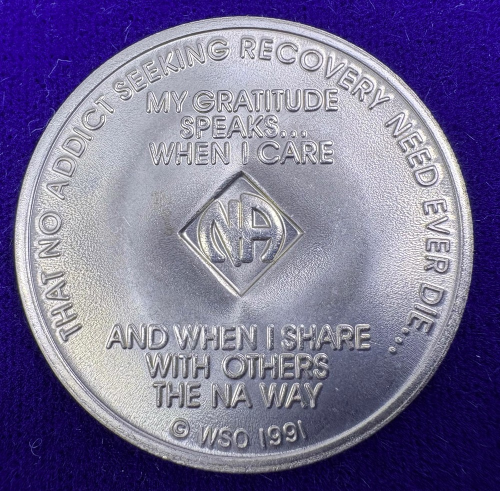 Old Style Narcotics Anonymous 9 Year Medallion Chip Coin WSO 1991