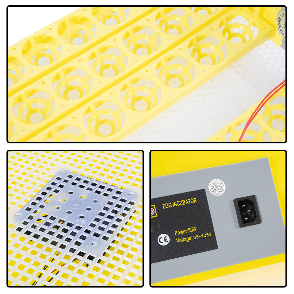 Digital Hatcher Breed Warmer Auto Temperature Control 48 Grid Incubator New