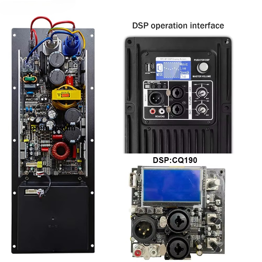 2 Way Class d DSP Power Board Module Digital Active Speaker Amplifier Module