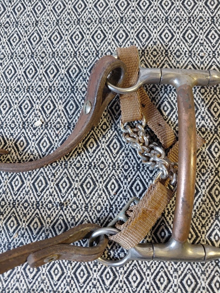 Circle Y Browband Leather Headstall With Bit