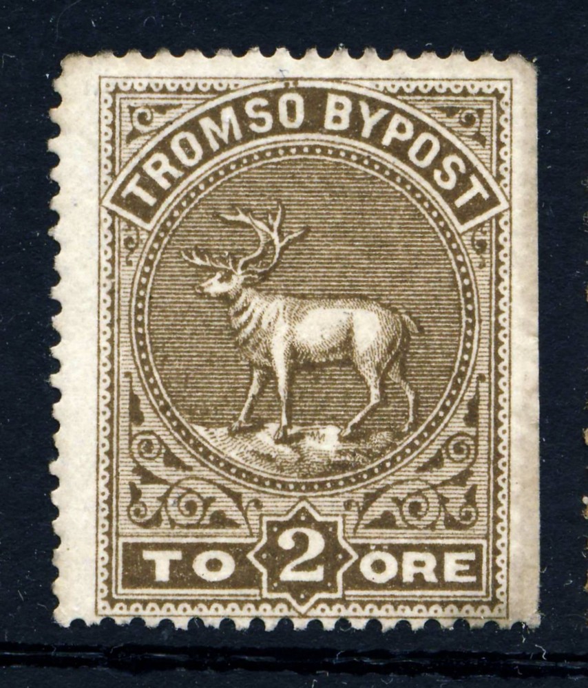 NORWAY . Tromso Local . Mint Light Hinge