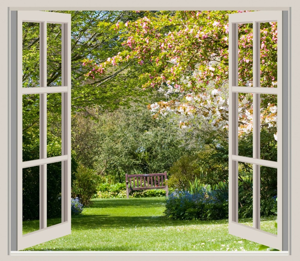 WindowsDirect.us domain name