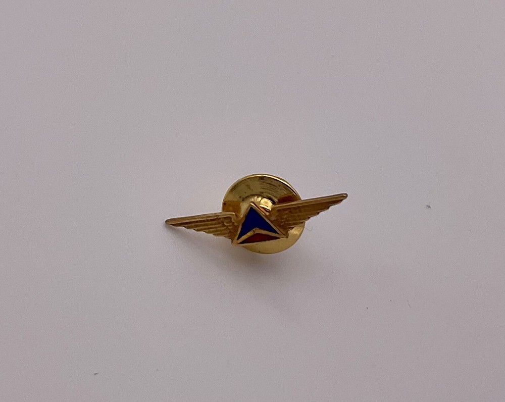 Delta Air Lines 5 Year Service Award Pin