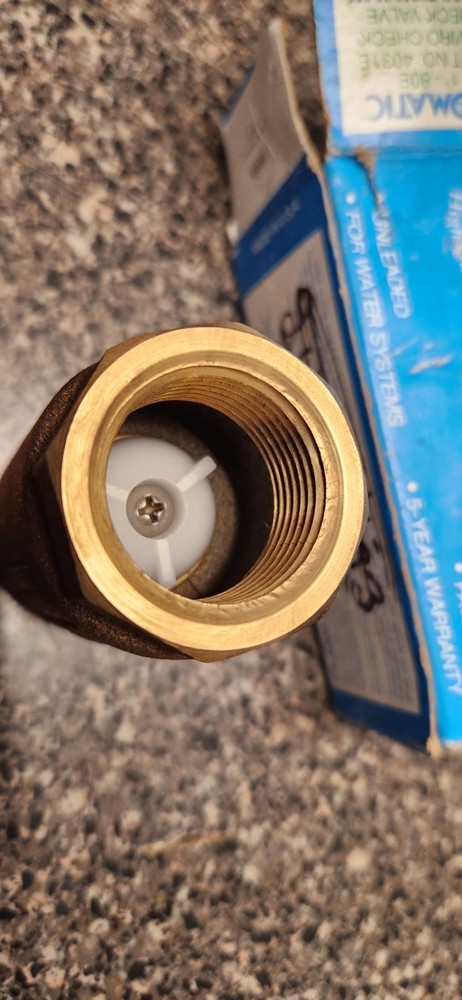 Flomatic 1" - 80E Enviro Check Valve 4031E