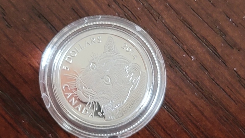 2014 RCM Cougar Set In Case