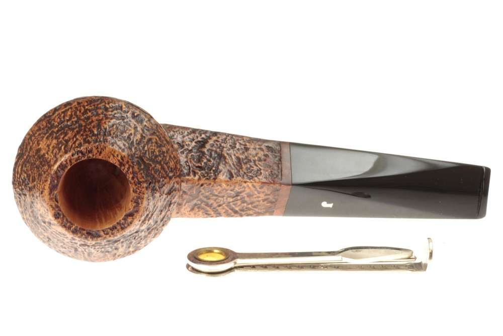 Ser Jacopo S2 (B) Maxima Maxima - Straight Rhodesian