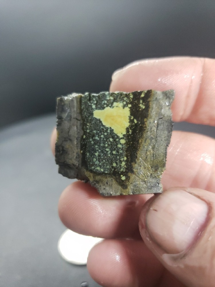 Nevada Saguaro Variscite Slab