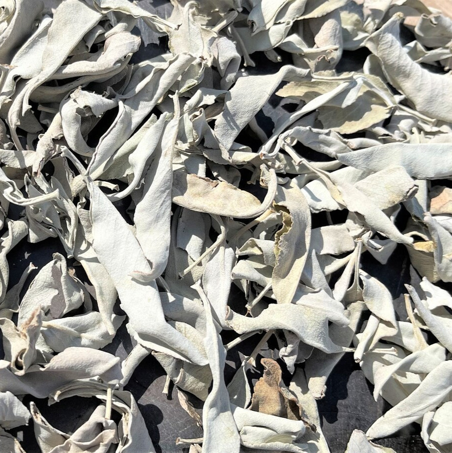 White Sage Clusters Loose Leaf Bulk 1oz to 3lbs Cleansing Smudging