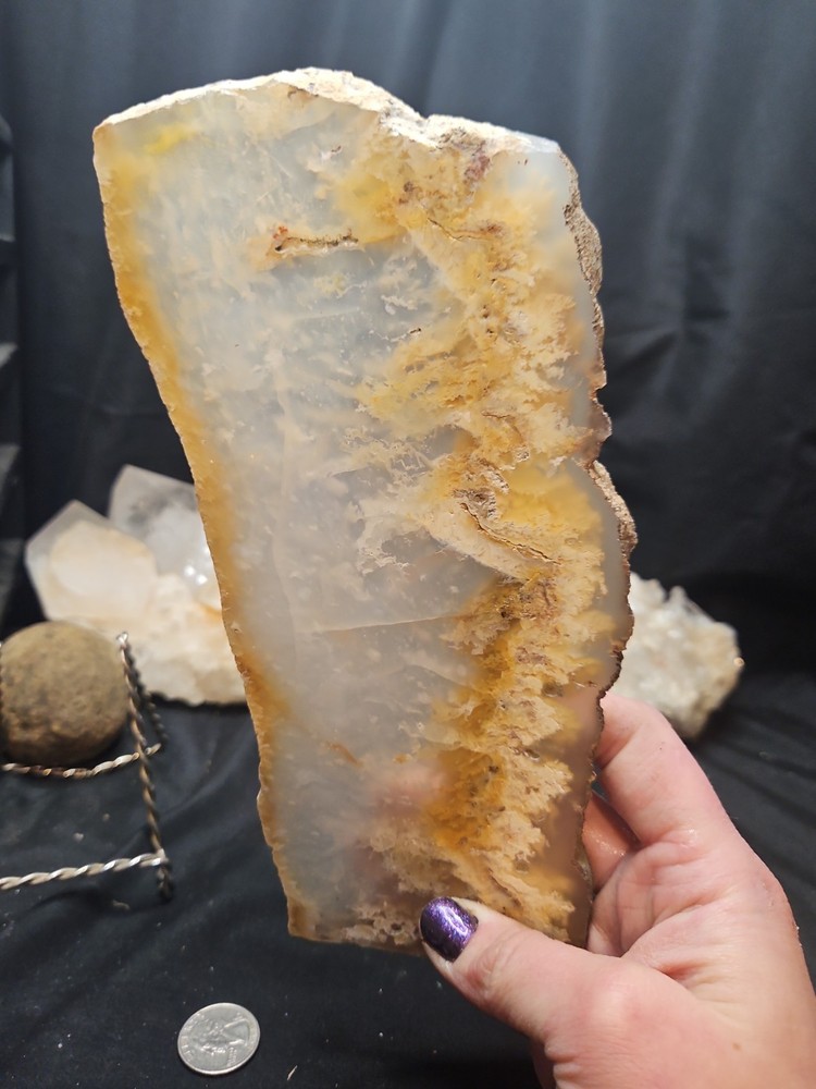 Graveyard Plume Agate Slab Specimen (11oz)