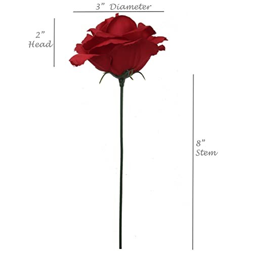 Carnations (Roses) 50 Burgundy