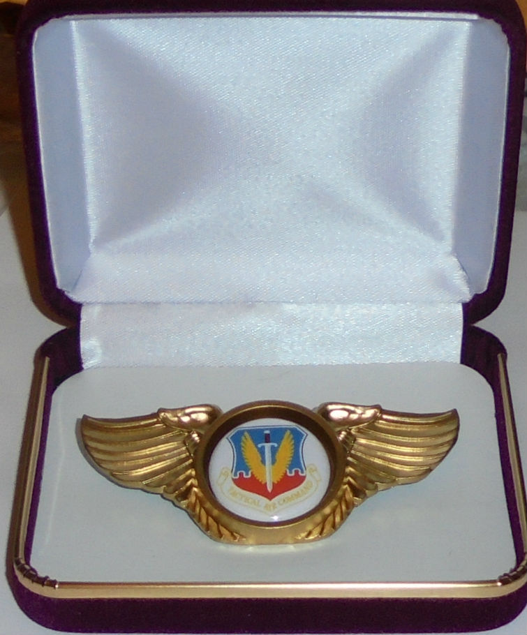 Air Force Tactical Air Command Fighter Squadron Pilot Crew Wing Jacket Hat Pin