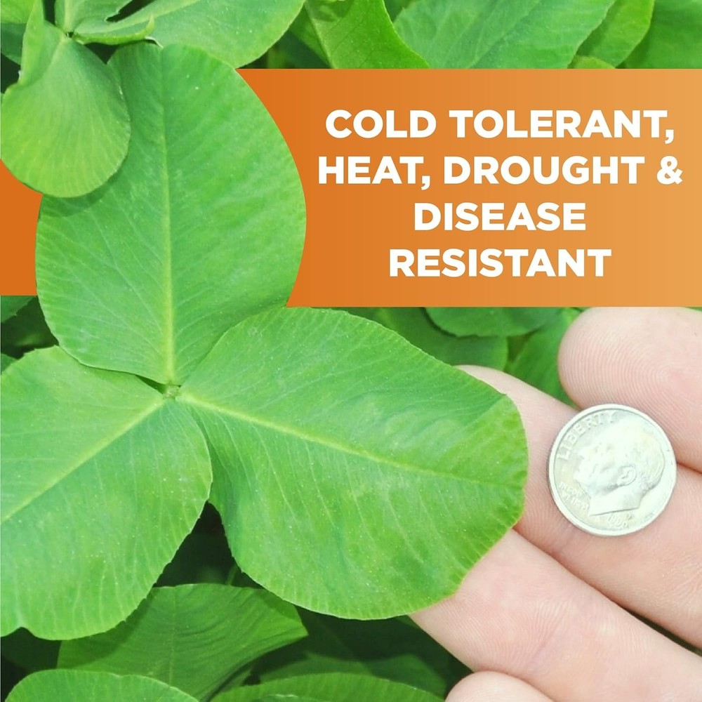 Imperial Clover Deer Food Plot Seed, 2 lbs - High-Protein & Antler Growth