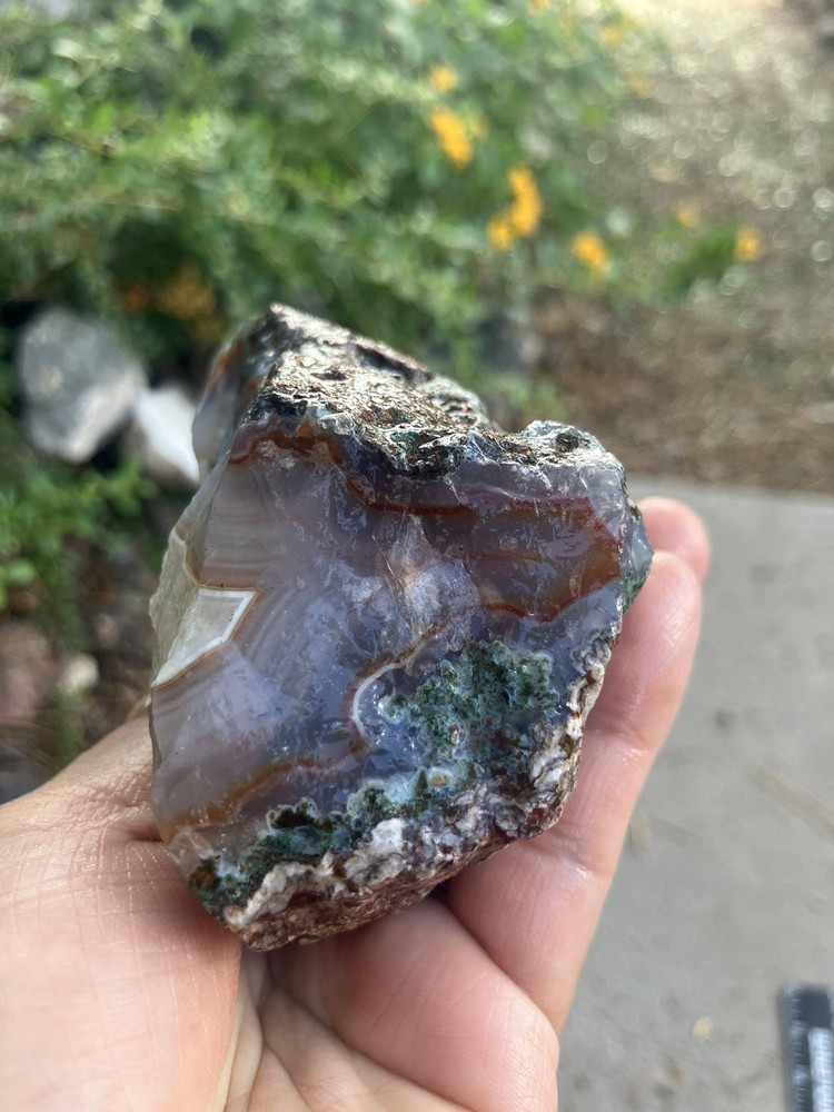 Laguna Agate Specimen (Rough)