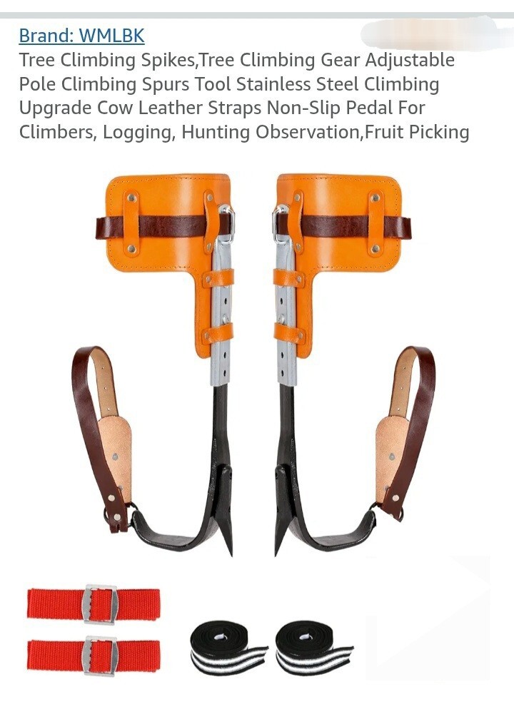 Tree Climbing Spurs Steel