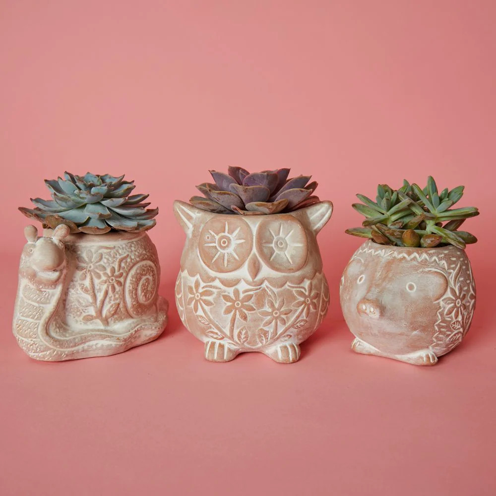 Small Floral Terracotta Hedgehog Pot