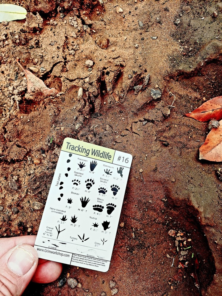 20 Piece Emergency and Survival Tip Card Kit.