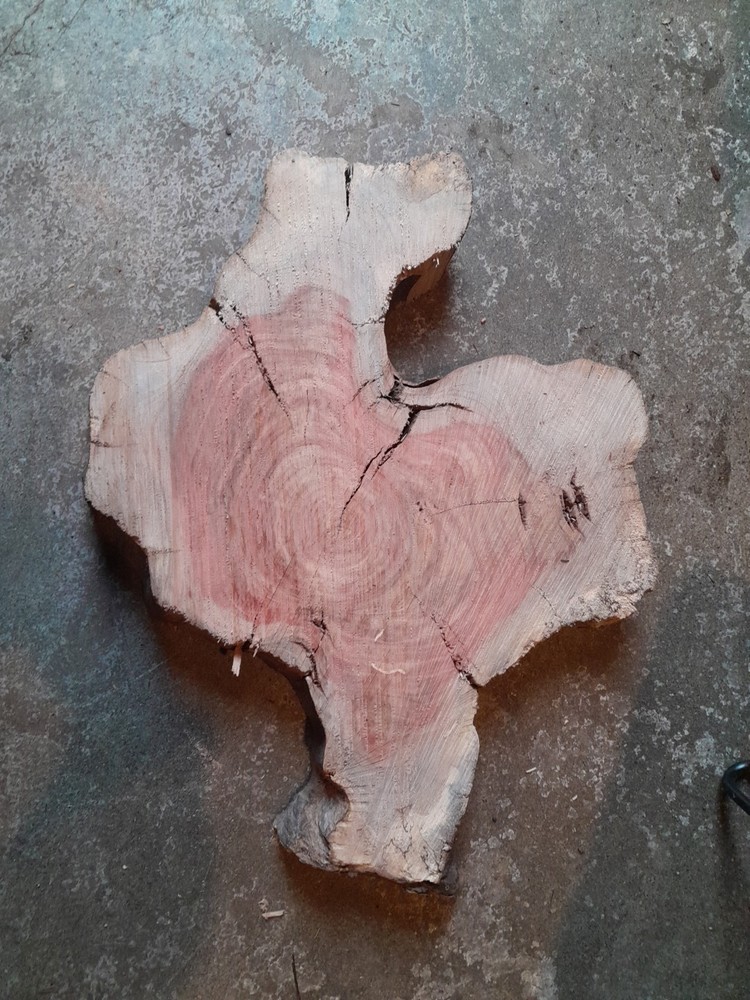 2 Inch Thick Carob Slab