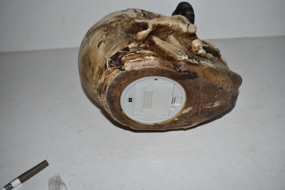 HALLOWEEN SKELETON HEAD WITH SPIDER, SNAKE, BONE - SPOOKY HALLOWEEN PROP (MSL28)