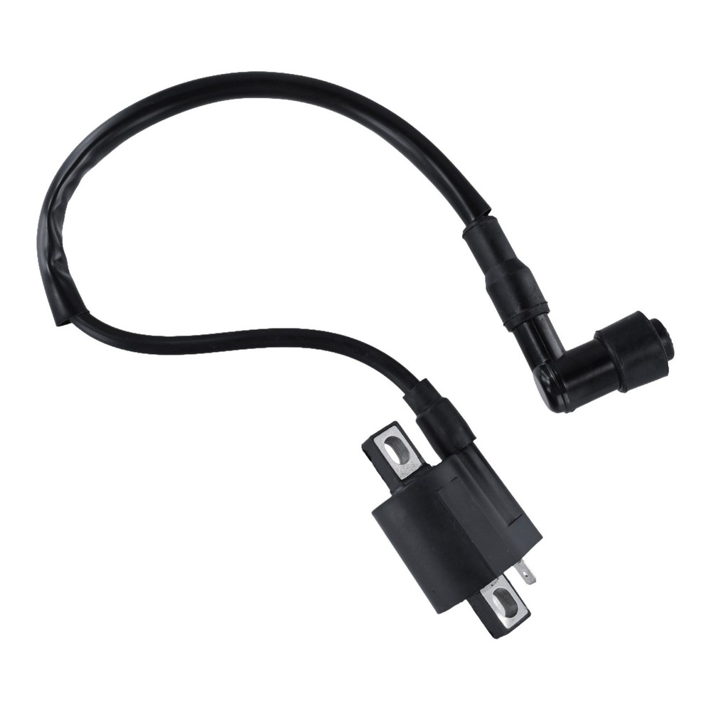 Sturdy Construction 2 Pin Ignition Coil Ignition Coil 2 Pin Design Heat Resistant