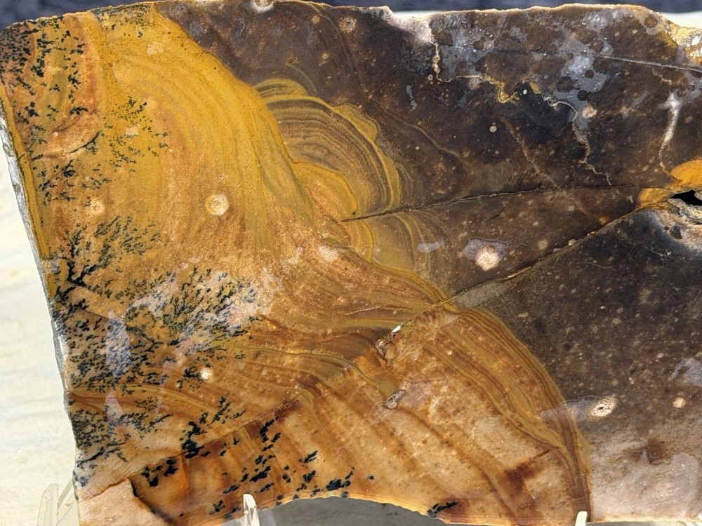Dendritic Biggs Jasper Slab, Lot #285