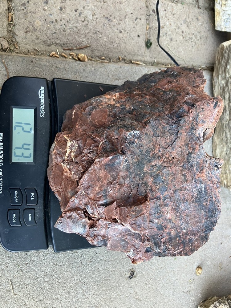 Arizona Petrified Log