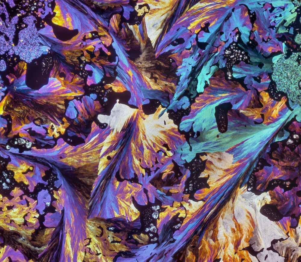 Microscope slide for polarized light, COUMARIN