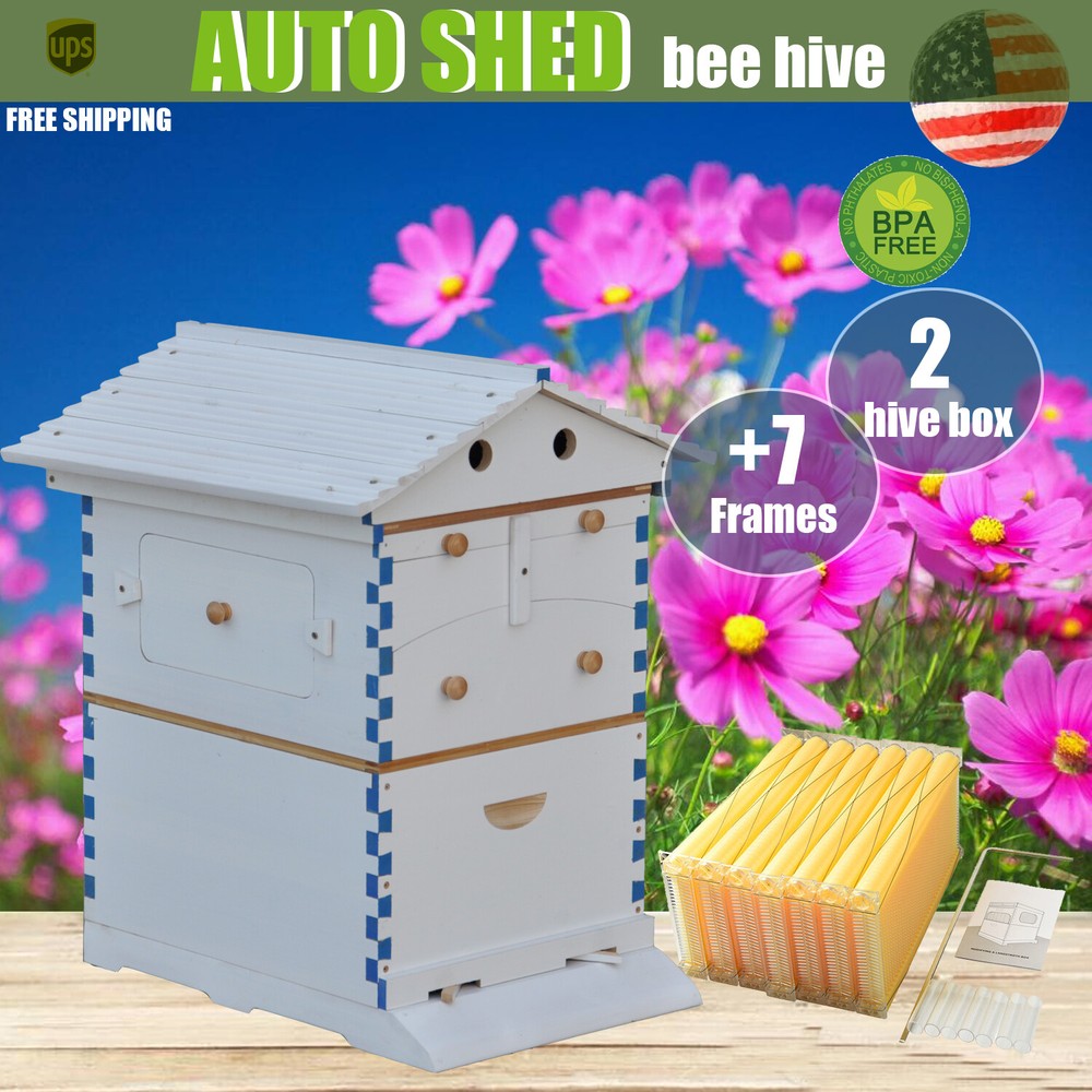 Painted Auto Langstroth Bee Hive Boxes Beekeeping Hives House 7x Bee Frames New
