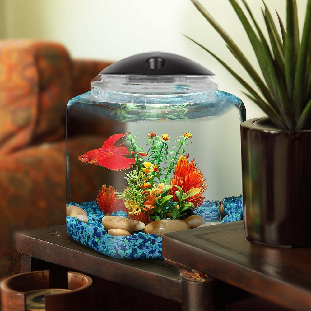 1 Gallon Hex Bettatank - LED Lighting