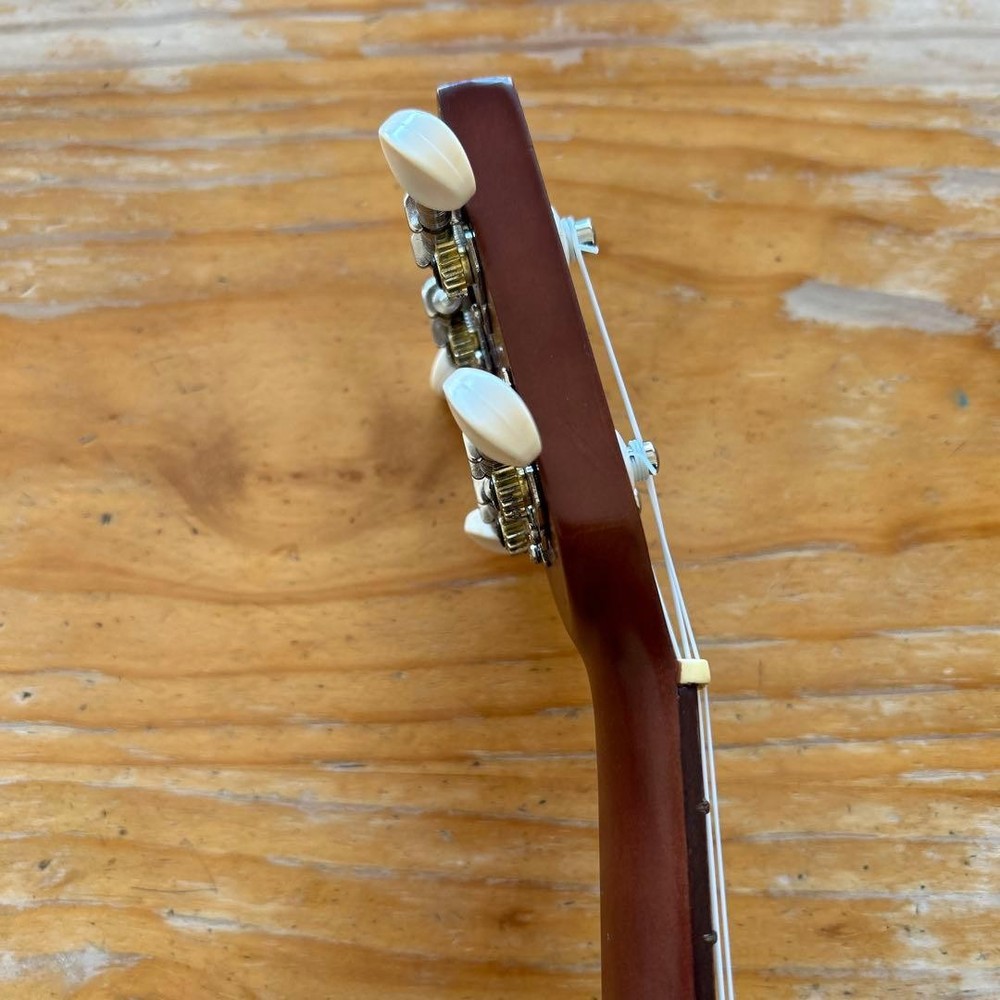 Price reduction! Ukulele with new case