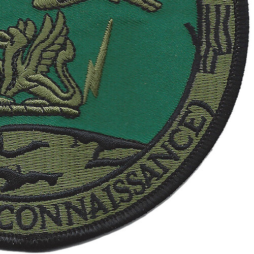 204th Military Intelligence Battalion Patch