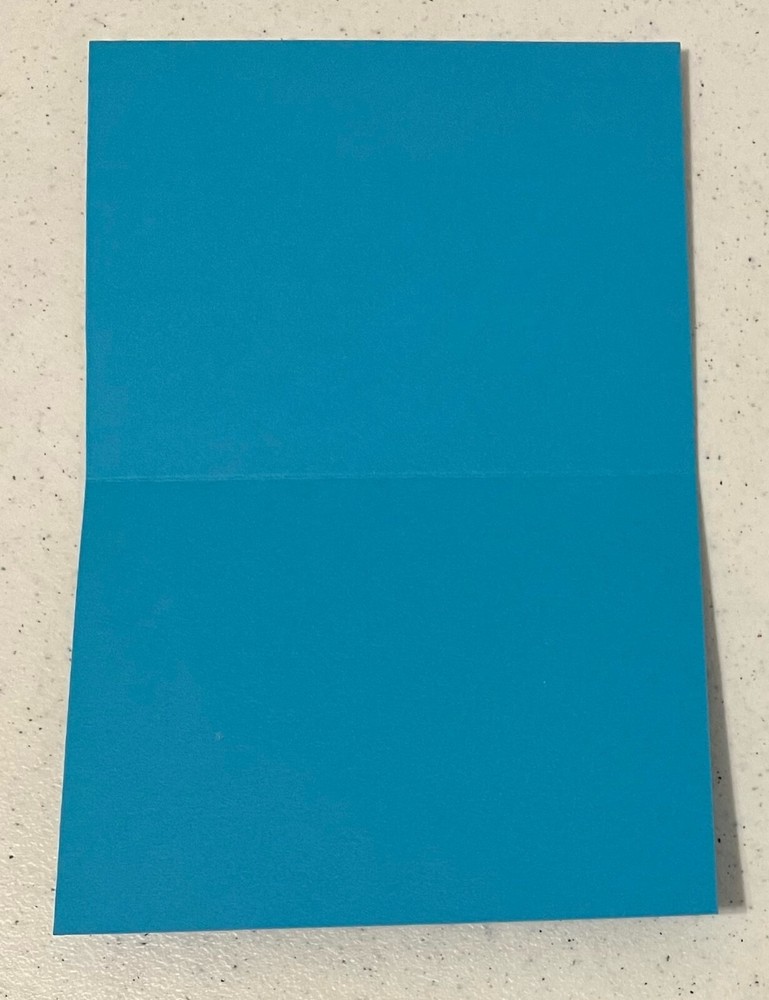 Tall Bird Chicken Handmade Card Blank Inside with Envelope