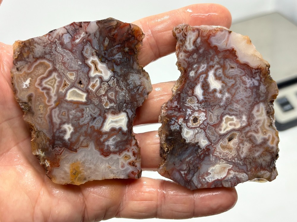 Mexican Red Moss Agate Slabs Lapidary Cabbing Combo Ship Avail