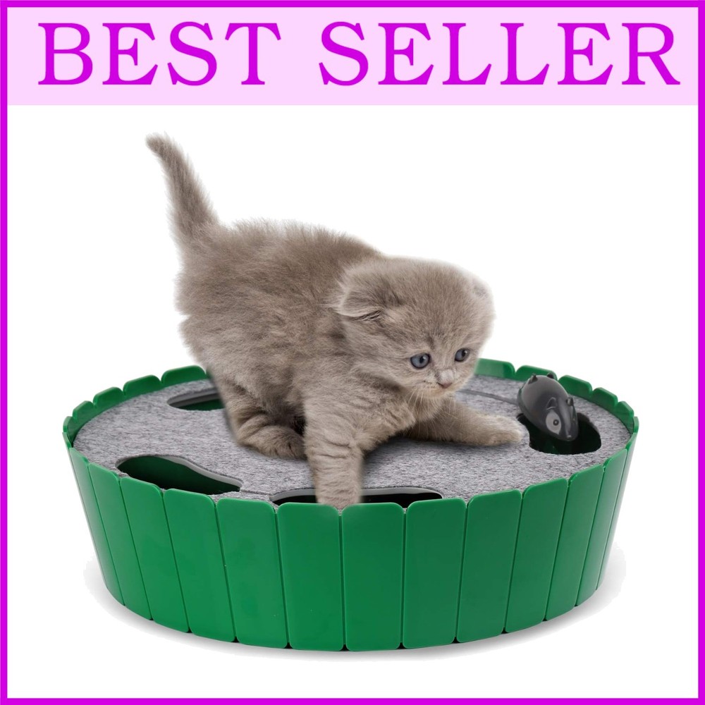 Stimulating Automatic Cat Teaser